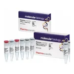 Thermo Fisher Scientific RevertAid H Minus First Strand cDNA Synthesis Kit, with DNase I, 20 reactions