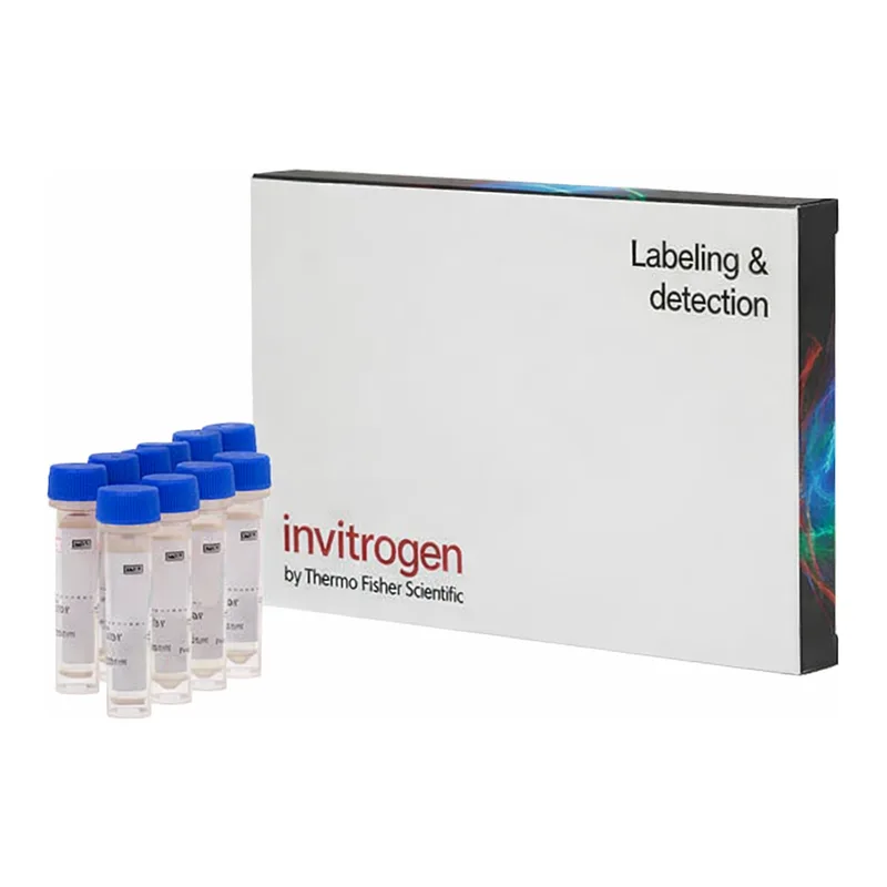 Thermo Fisher Scientific Fluo-4, AM, FluoroPure grade - Special Packaging