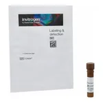 Thermo Fisher Scientific Lycopersicon Esculentum (Tomato) Lectin (LEL, TL), Texas Red