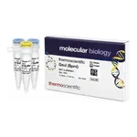 Thermo Fisher Scientific GsuI (BpmI) (5 U/μL), 100 units