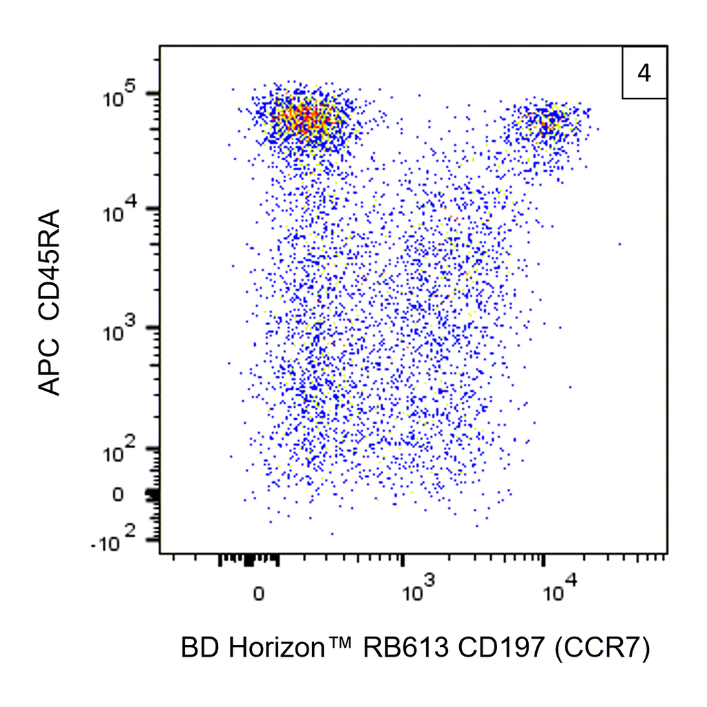BD RB613 Mouse Anti-Human CD197 (CCR7)