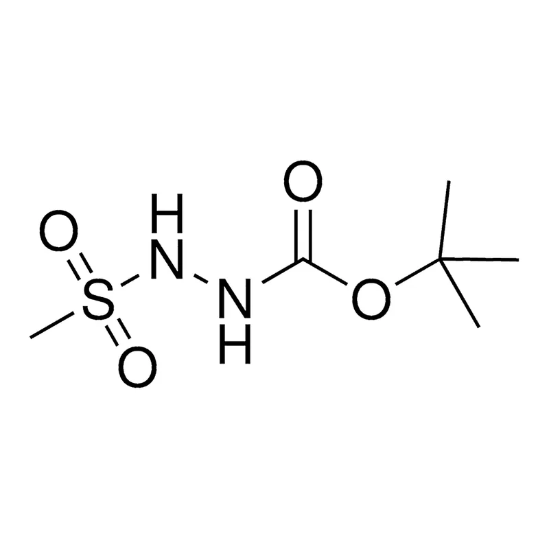 Merck TERT-BUTYL 2-(METHYLSULFONYL)HY-