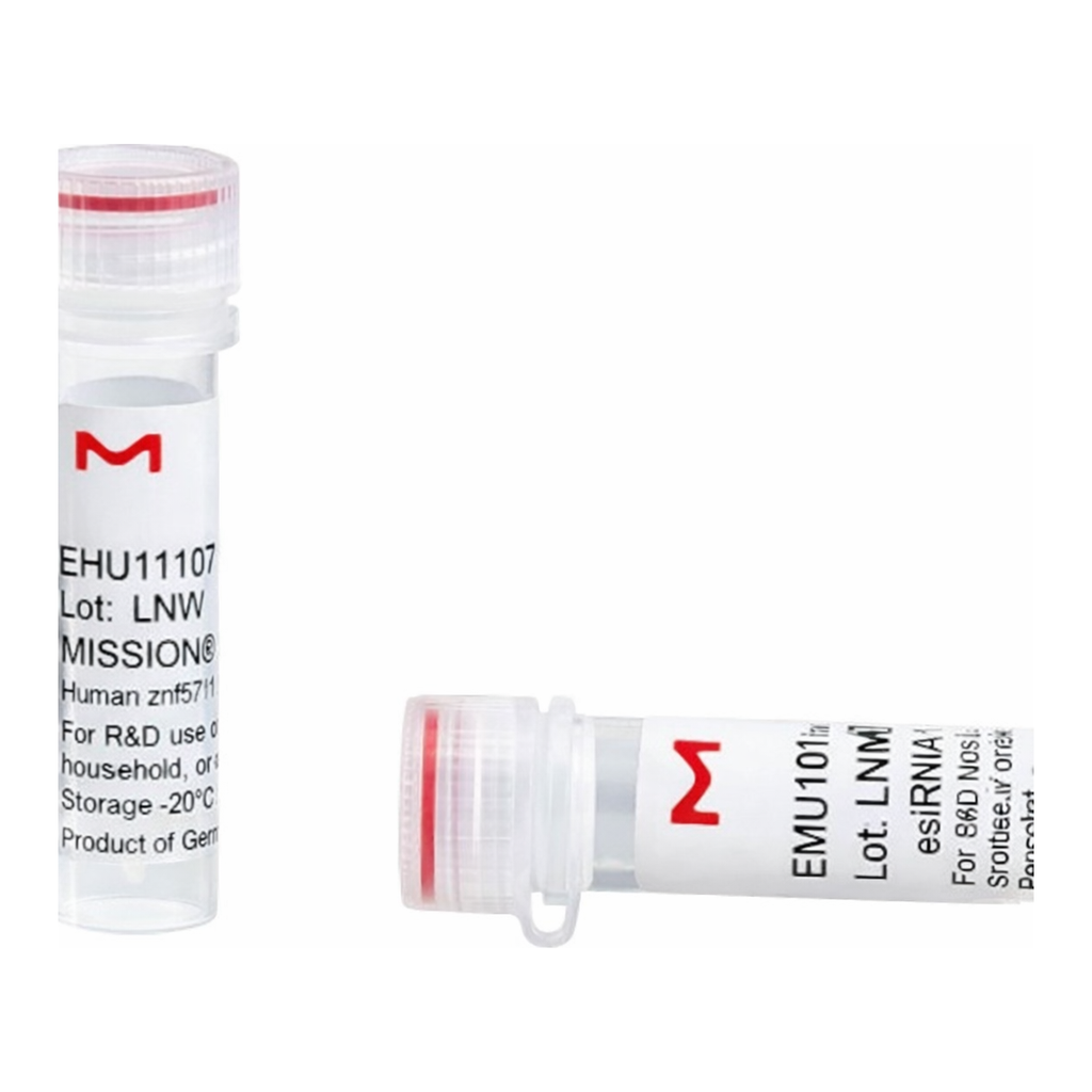 Merck MISSION(R) esiRNA