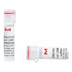 Merck MISSION(R) esiRNA