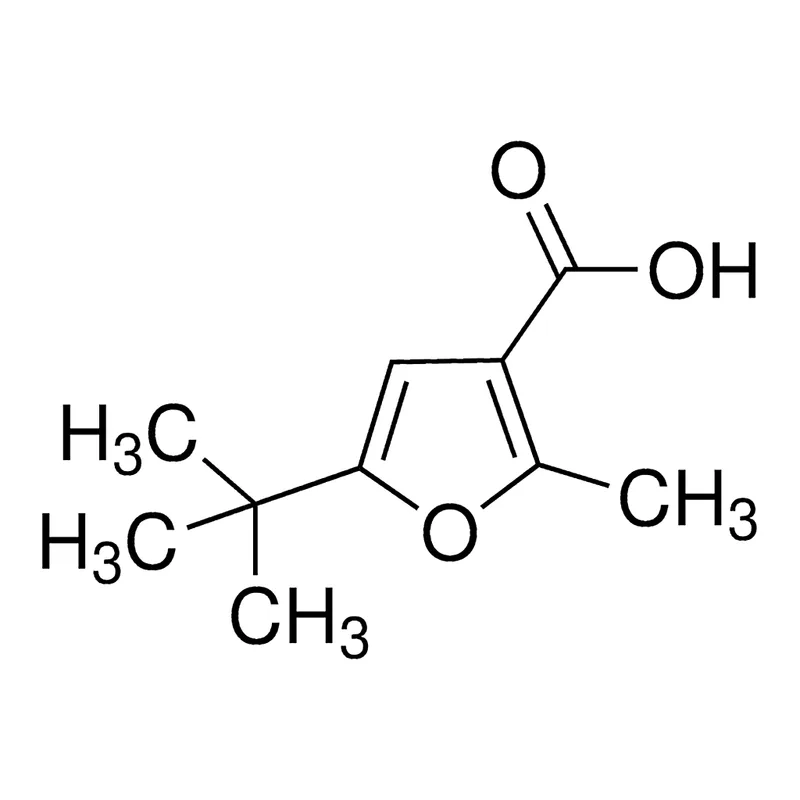 Merck 5-tert-Butyl-2-methyl-3-furoic acid