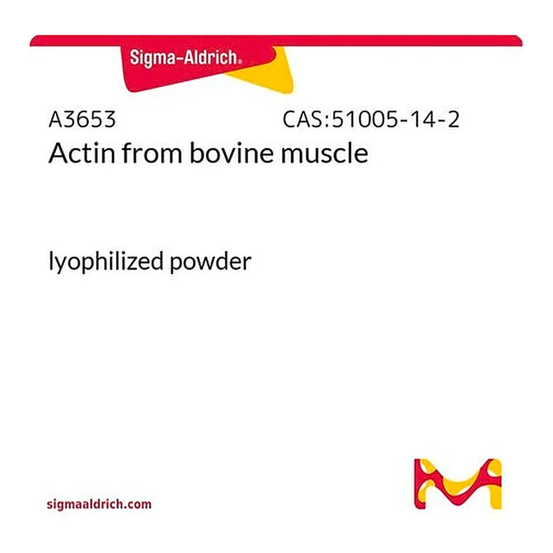 Merck Actin from bovine muscle