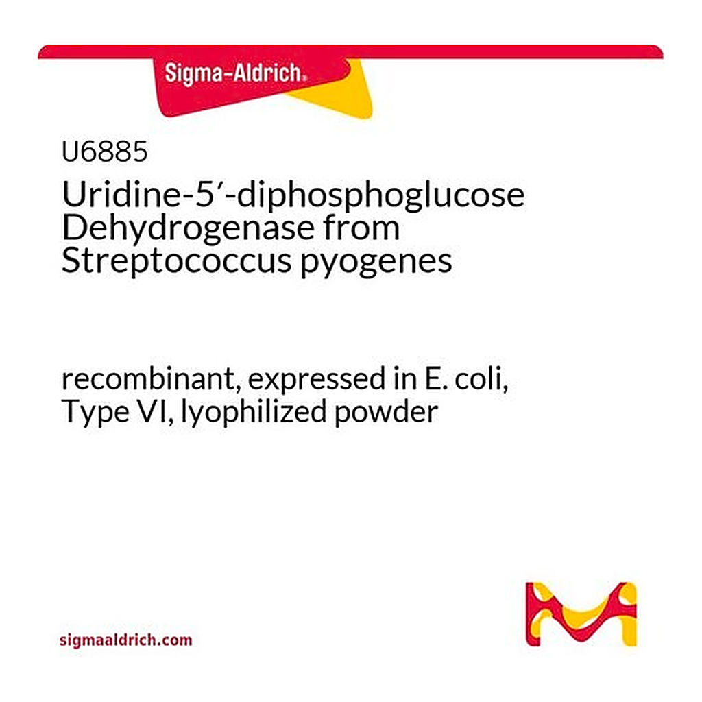 Merck Uridine-5'-diphosphoglucose Dehydrogenase from Streptococcus pyogenes