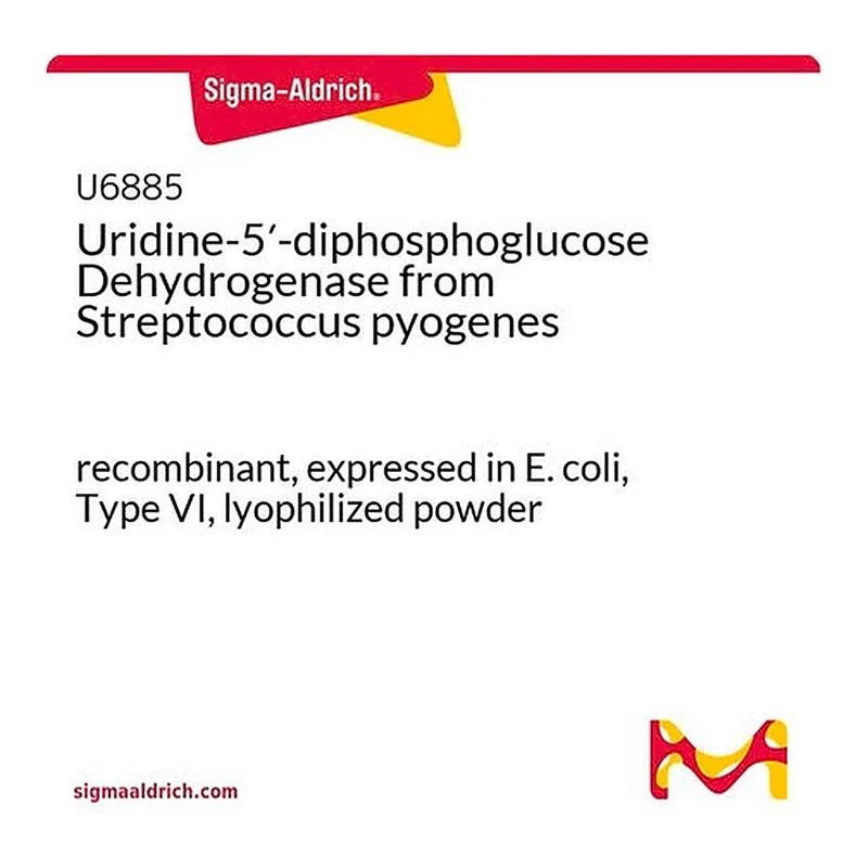 Merck Uridine-5'-diphosphoglucose Dehydrogenase from Streptococcus pyogenes