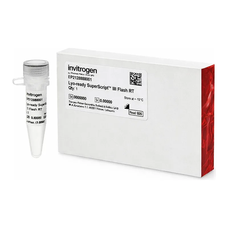 Thermo Fisher Scientific Lyo-ready SuperScript III Flash Reverse Transcriptase (60 U/μL), 50 kU