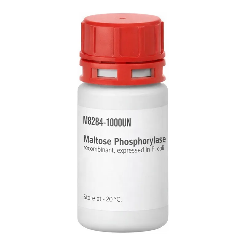 Merck Maltose Phosphorylase from Enterococcus sp.