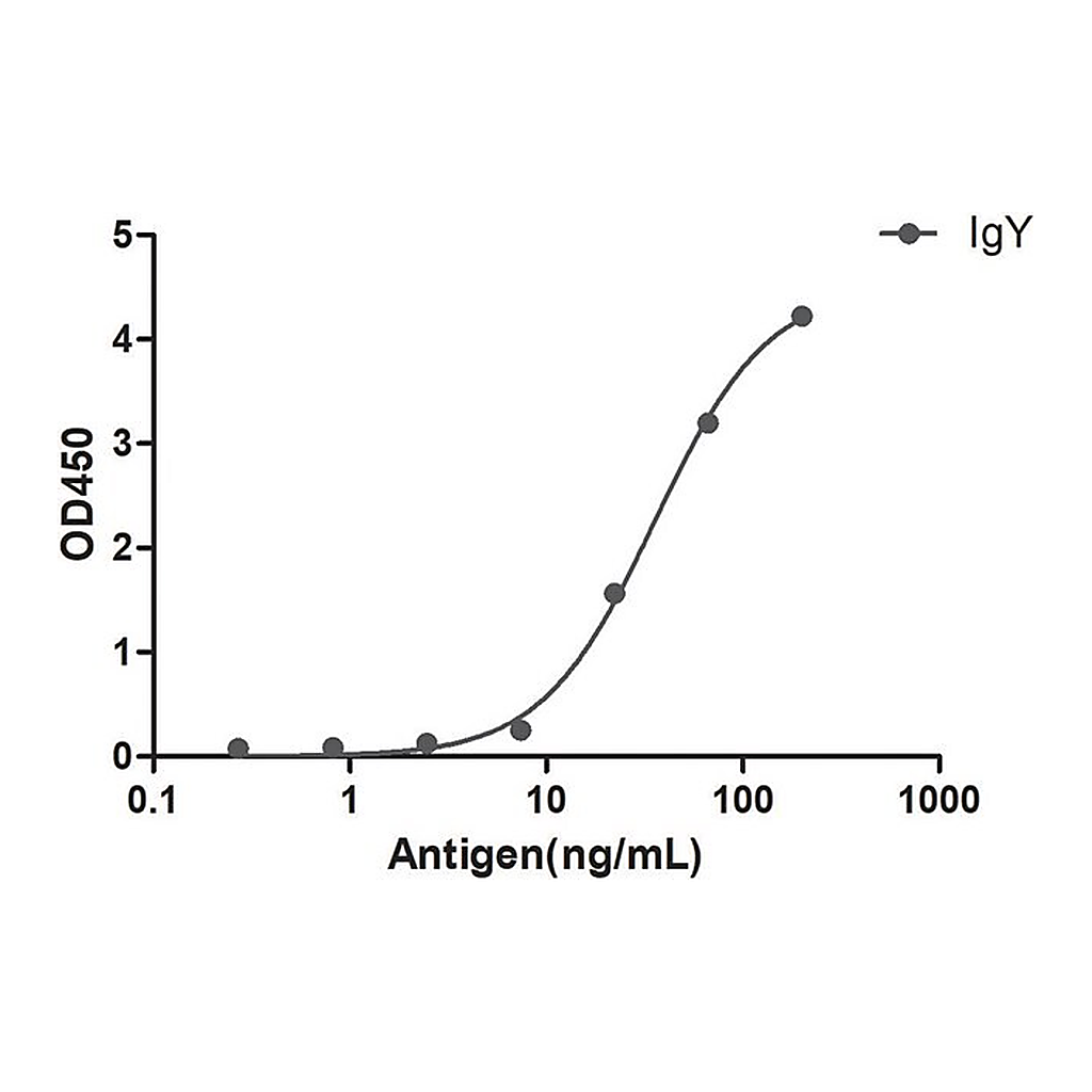 Merck Alpaca Anti-Chicken IgY single domain Antibody