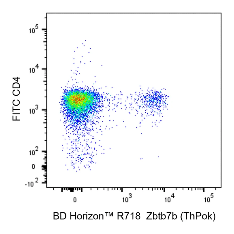 BD R718 Rat Anti-Mouse Zbtb7b (ThPok)