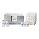 Intron Viral Gene-spin™ Viral DNA/RNA Extraction Kit
