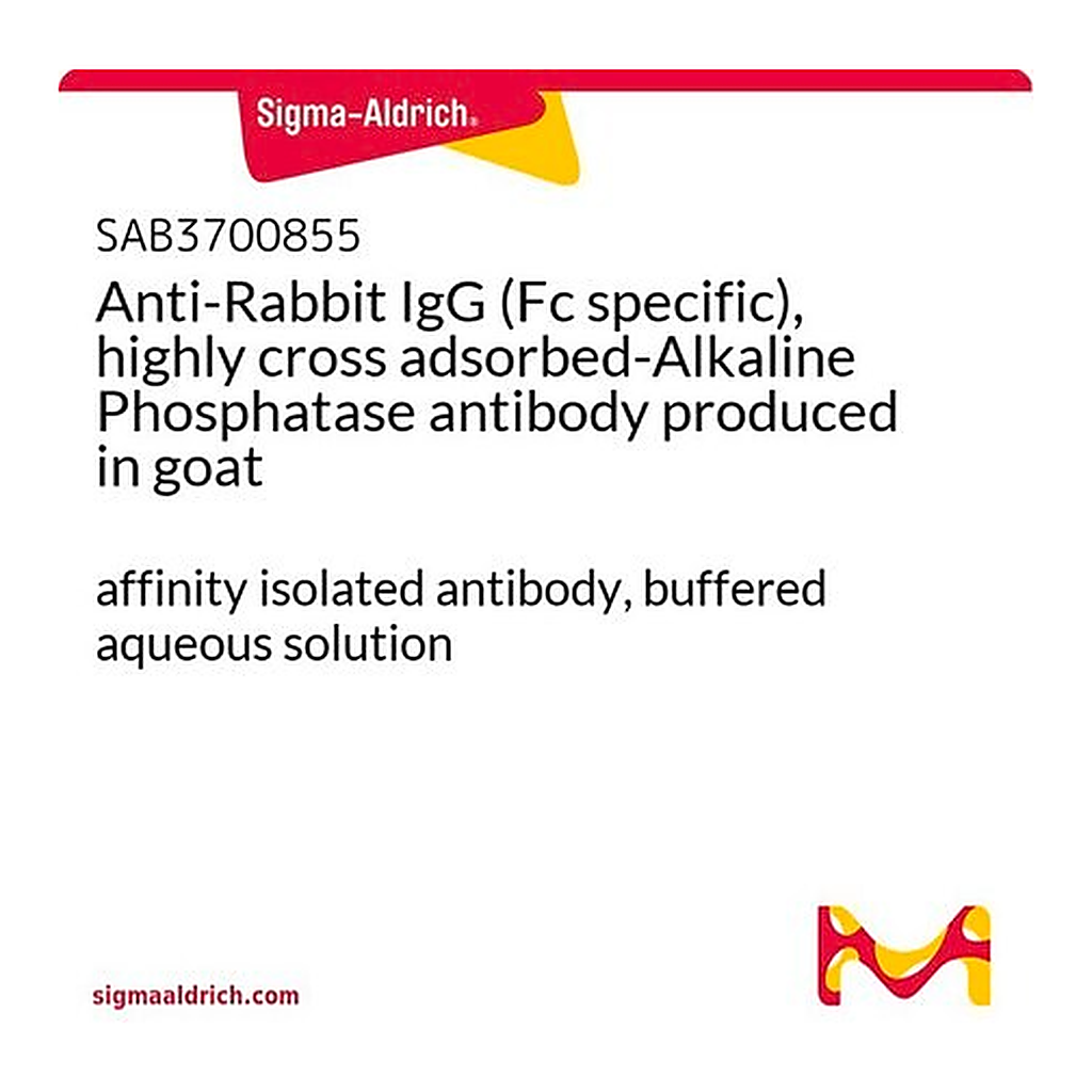 Merck Anti-Rabbit IgG (Fc specific), highly cross adsorbed-Alkaline Phosphatase antibody produced in goat