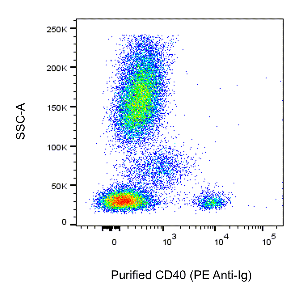 BD Purified Mouse Anti-Human CD40