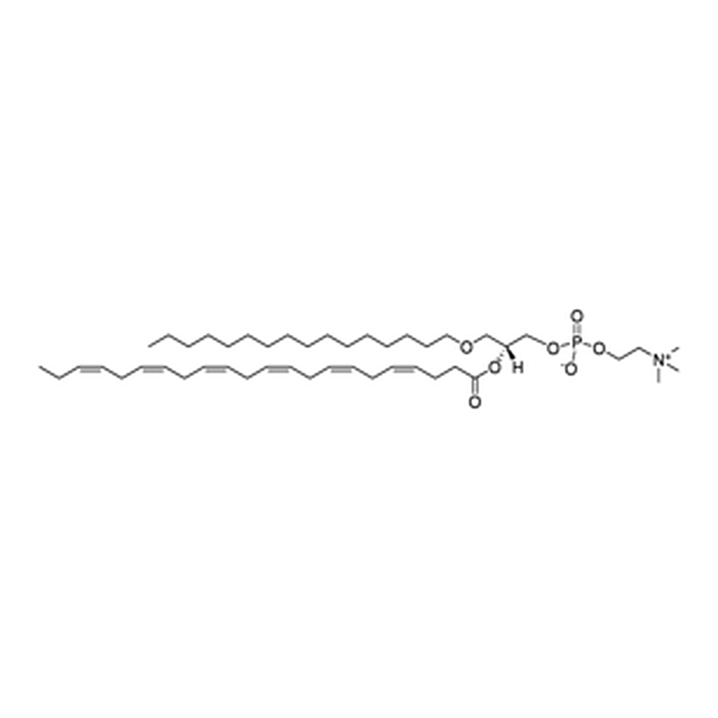 Merck C16-22:6 PC