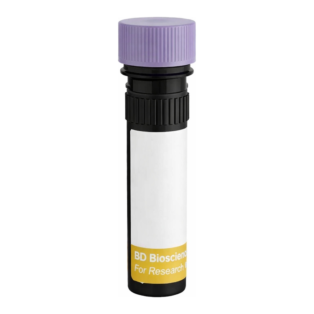 BD RY743 Rat Anti-Mouse IgG1