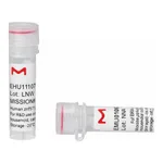 Merck MISSION(R) esiRNA