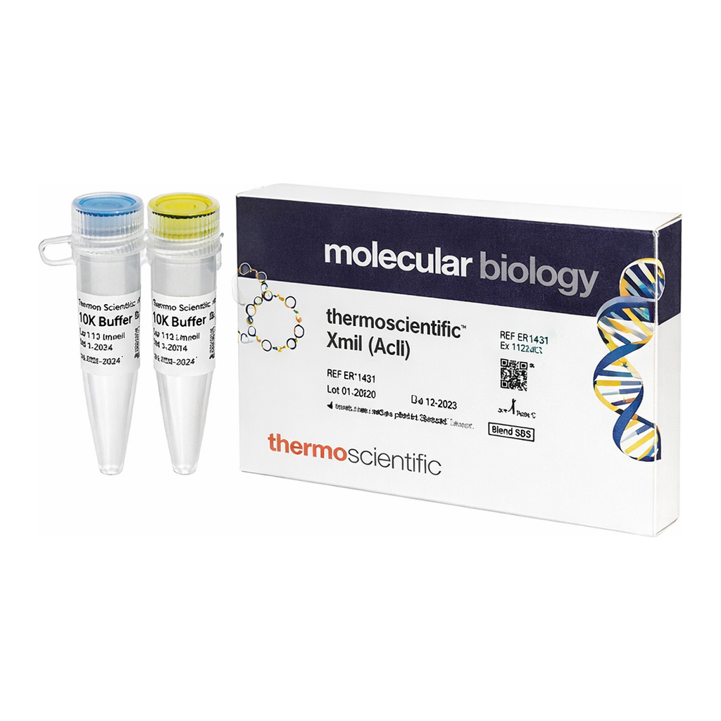 Thermo Fisher Scientific XmiI (AccI) (10 U/&mu;L), 400 U