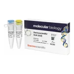 Thermo Fisher Scientific XmiI (AccI) (10 U/μL), 400 U