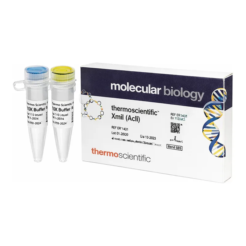 Thermo Fisher Scientific XmiI (AccI) (10 U/μL), 400 U