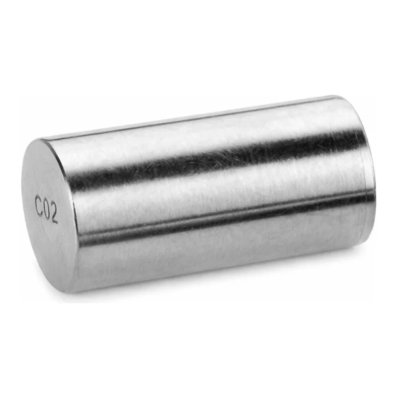 Waters Atlantis Silica HILIC Sentry Guard Cartridge, 100Å, 3 µm, 2.1 mm X 10 mm, 2/pk