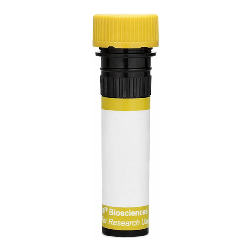 BD RY586 Mouse Anti-Human Chondroitin Sulfate (NG2)