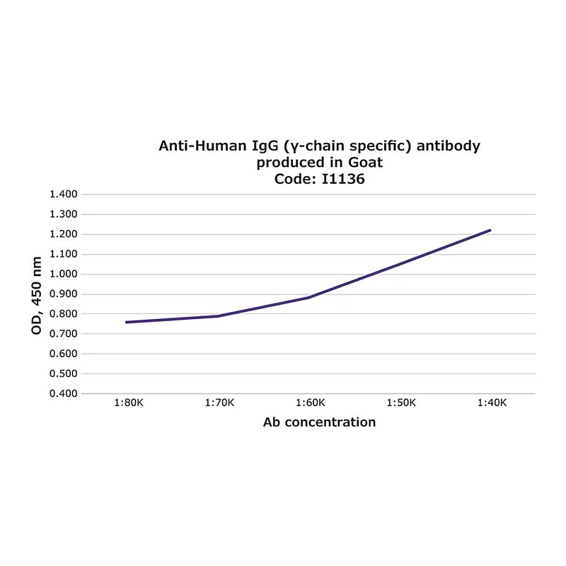 Merck Anti-Human IgG (gamma-chain specific) antibody produced in goat
