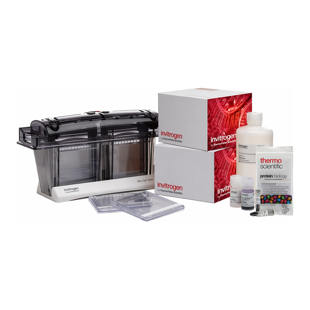 Thermo Fisher Scientific Bolt Bis-Tris Welcome Pack, 12%, 10-well, 1 Welcome Pk. kit