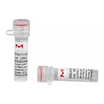Merck MISSION(R) esiRNA