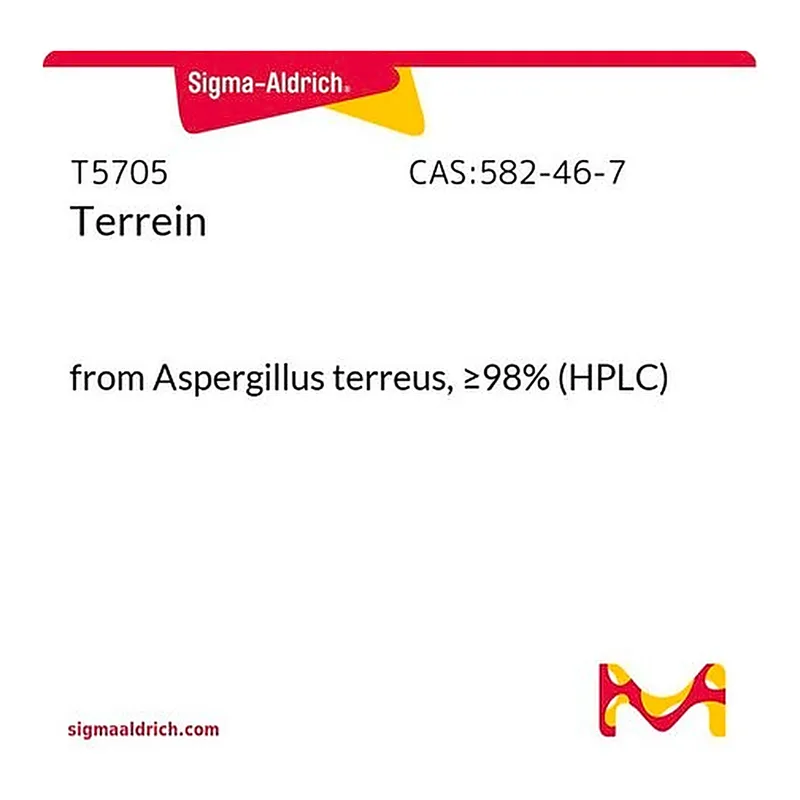 Merck Terrein