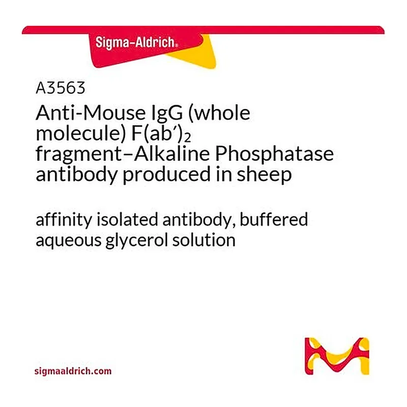Merck Anti-Mouse IgG (whole molecule) F(ab')2 fragment-Alkaline Phosphatase antibody produced in sheep