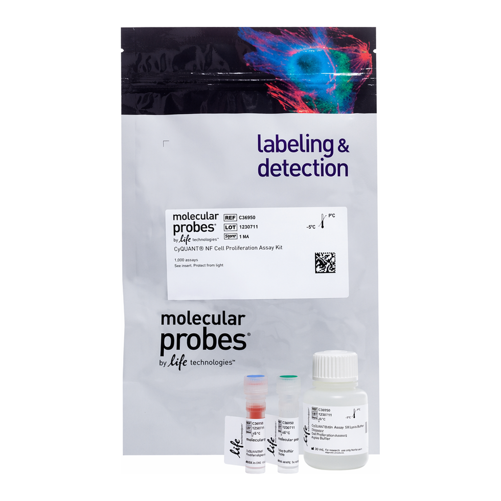 Thermo Fisher Scientific CyQUANT NF Cell Proliferation Assay, 1,000 assays