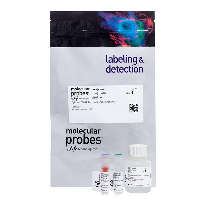 Thermo Fisher Scientific CyQUANT NF Cell Proliferation Assay, 1,000 assays