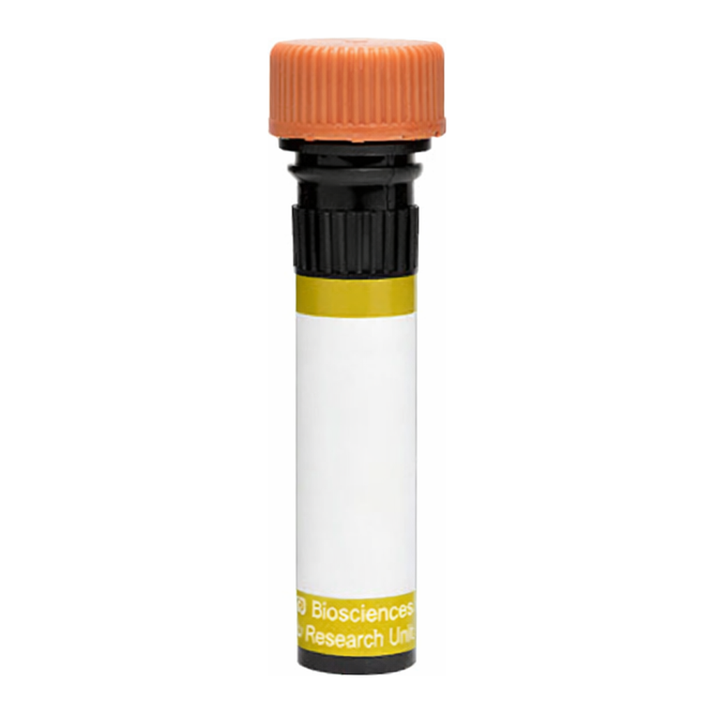 BD RY610 Mouse Anti-Human EGF Receptor