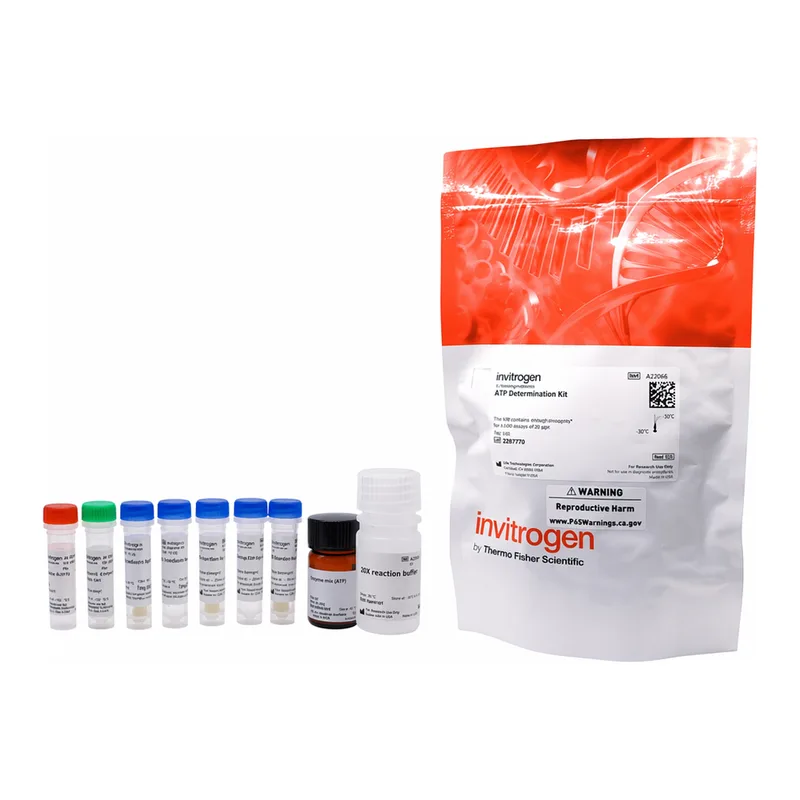 Thermo Fisher Scientific ATP Determination Kit