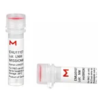 Merck MISSION(R) esiRNA