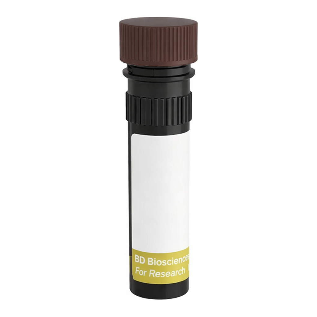 BD RY703 Mouse Anti-Human EGF Receptor