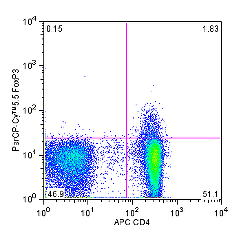 BD PerCP-Cy5.5 Mouse Anti-Human FoxP3