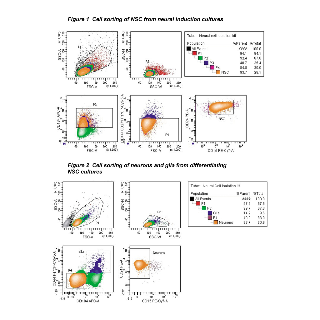 BD Human Neural Cell Sorting Kit