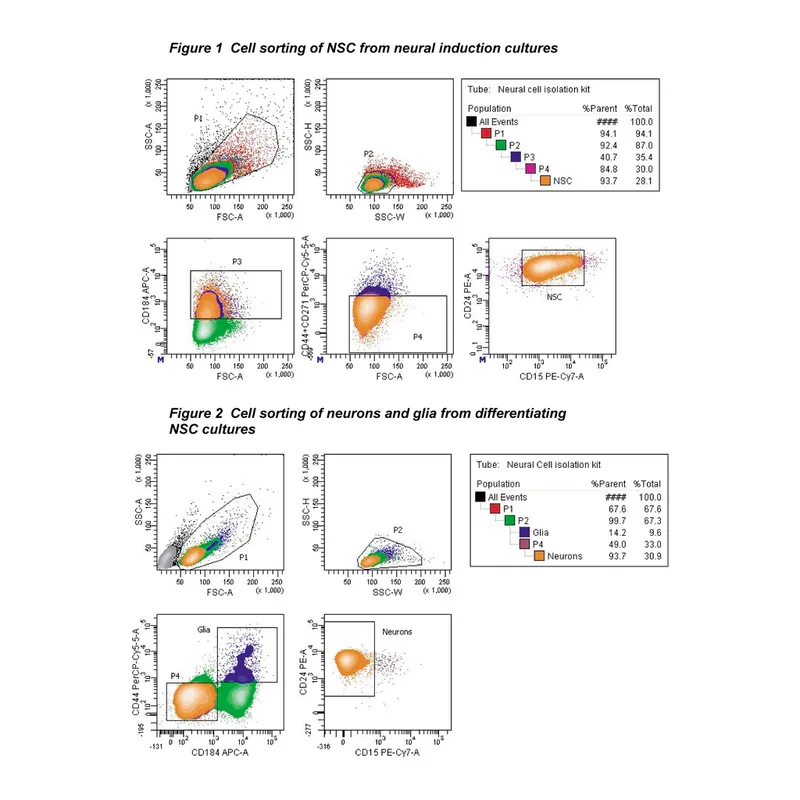 BD Human Neural Cell Sorting Kit