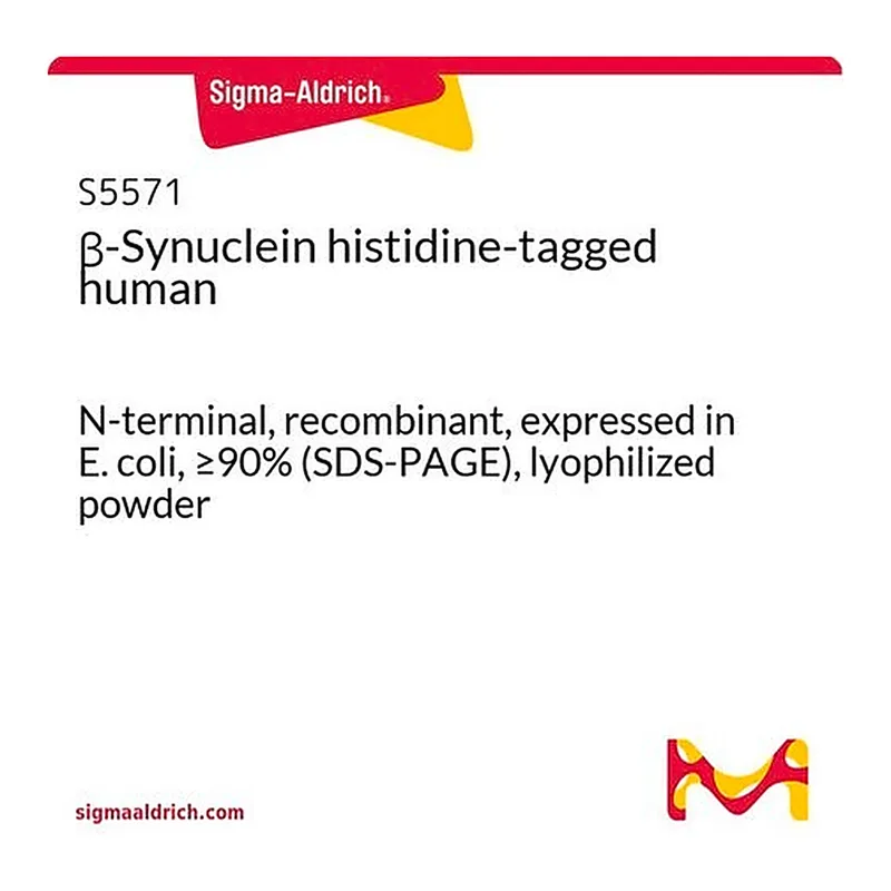 Merck beta-Synuclein histidine-tagged human