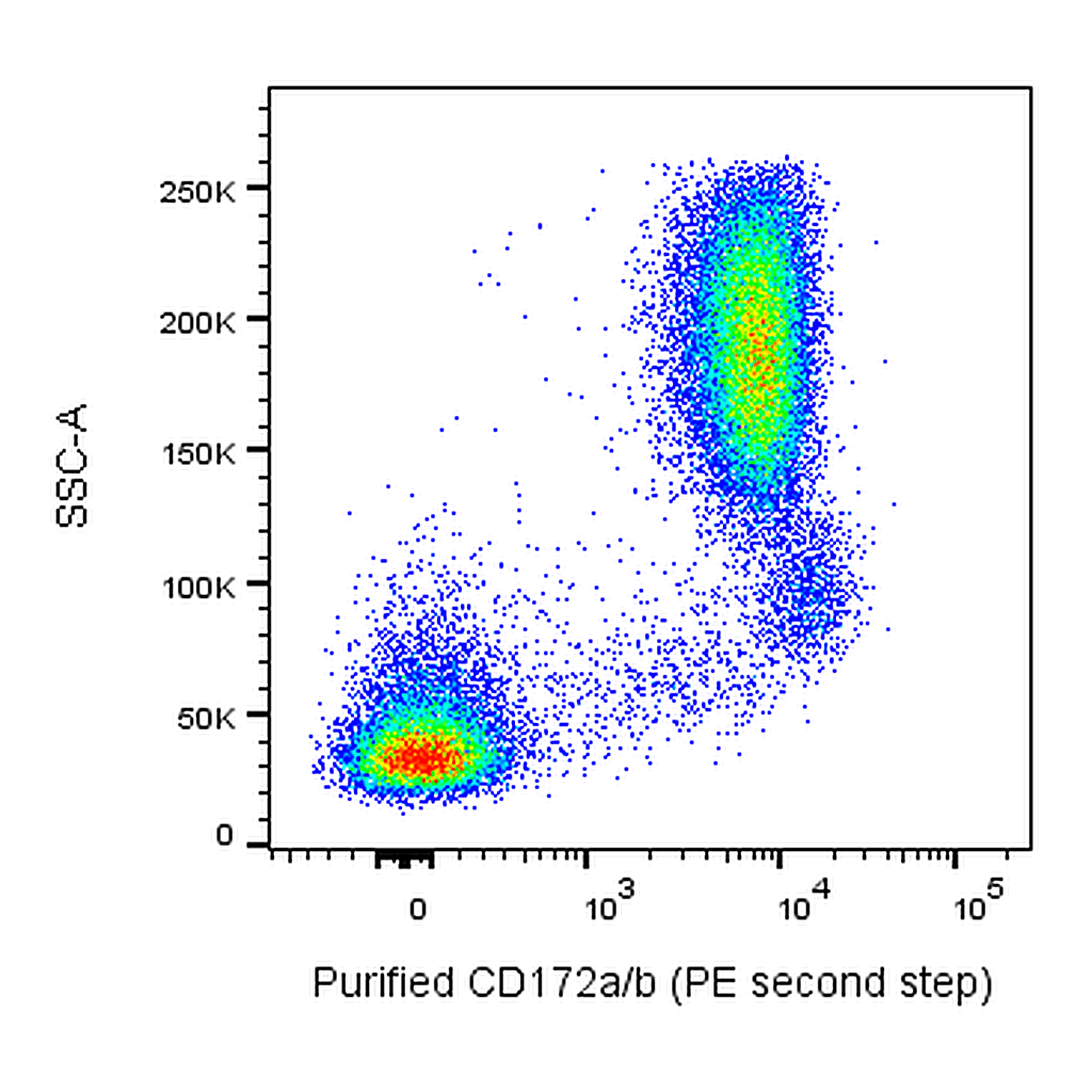 BD Purified Mouse Anti-Human CD172a/b