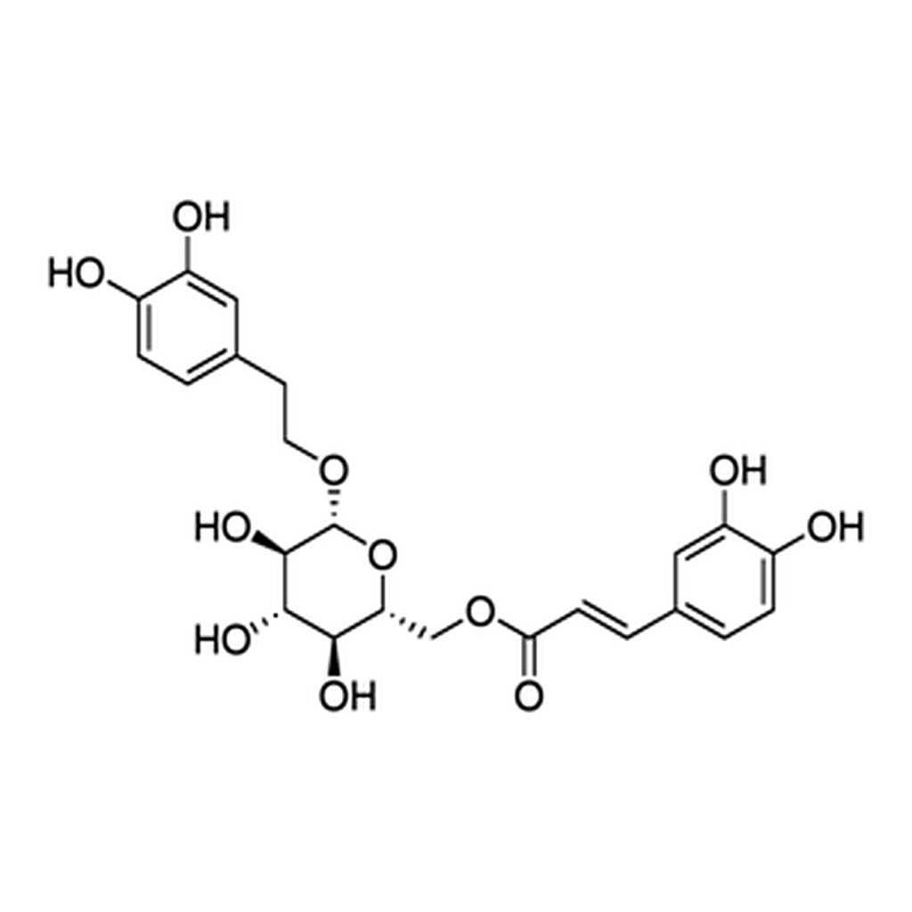 Merck Calceolarioside B