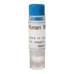 Thermo Fisher Scientific Human OAT1 (G) SLC Transporter Cells