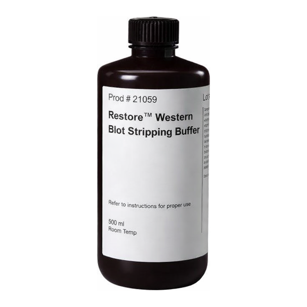 Thermo Fisher Scientific Restore Western Blot Stripping Buffer, 500 mL