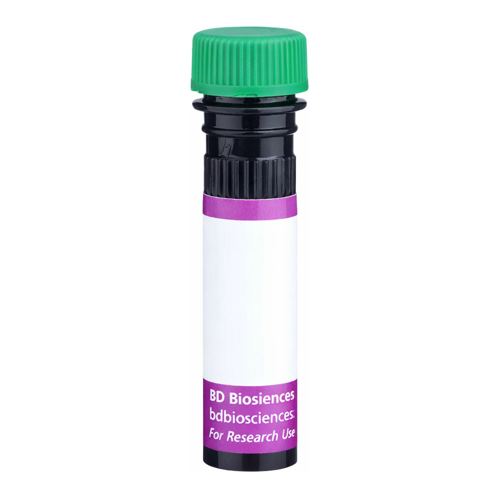 BD BV480 Rat Anti-Mouse Vβ 11 T-Cell Receptor