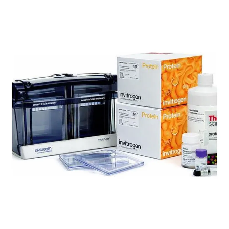 Thermo Fisher Scientific Novex WedgeWell Tris-Glycine Welcome Pack, 12%, 10-well, 1 Welcome Pk. kit