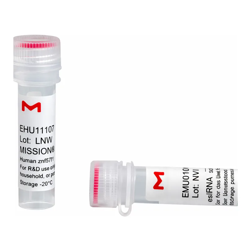 Merck MISSION(R) esiRNA