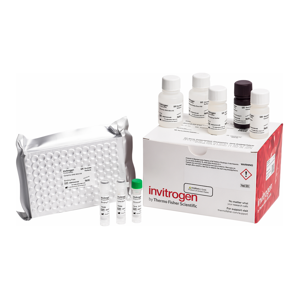 Thermo Fisher Scientific Human D-Dimer Rapid ELISA Kit